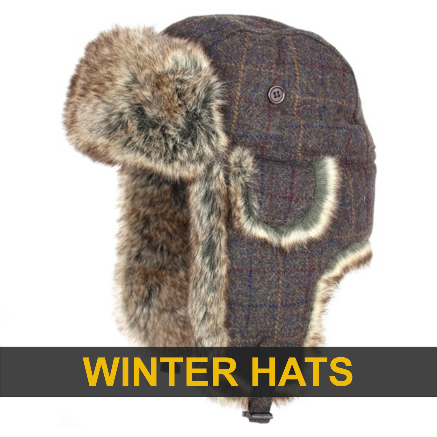 AP Winter Hats