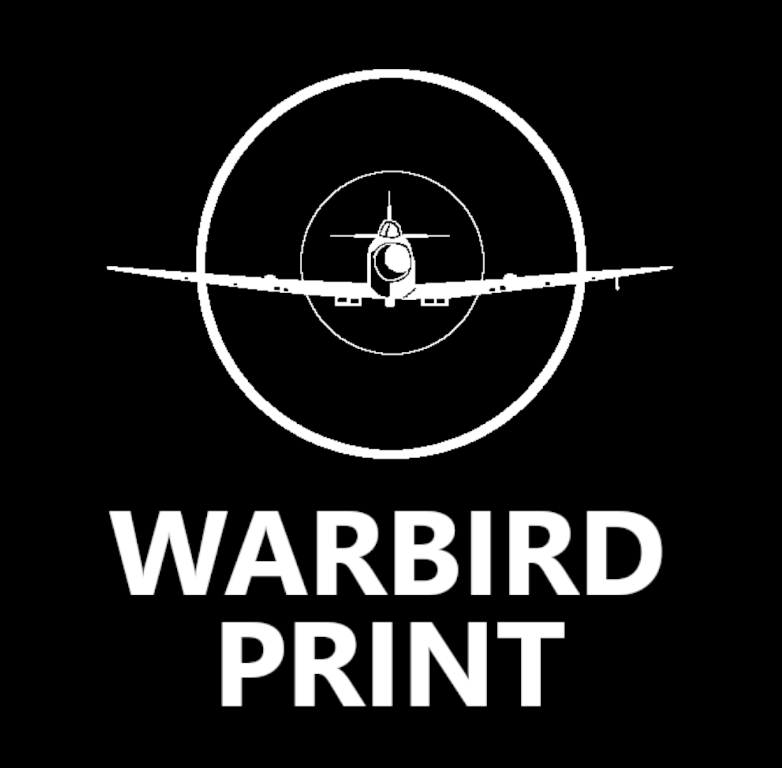 Warbird Print