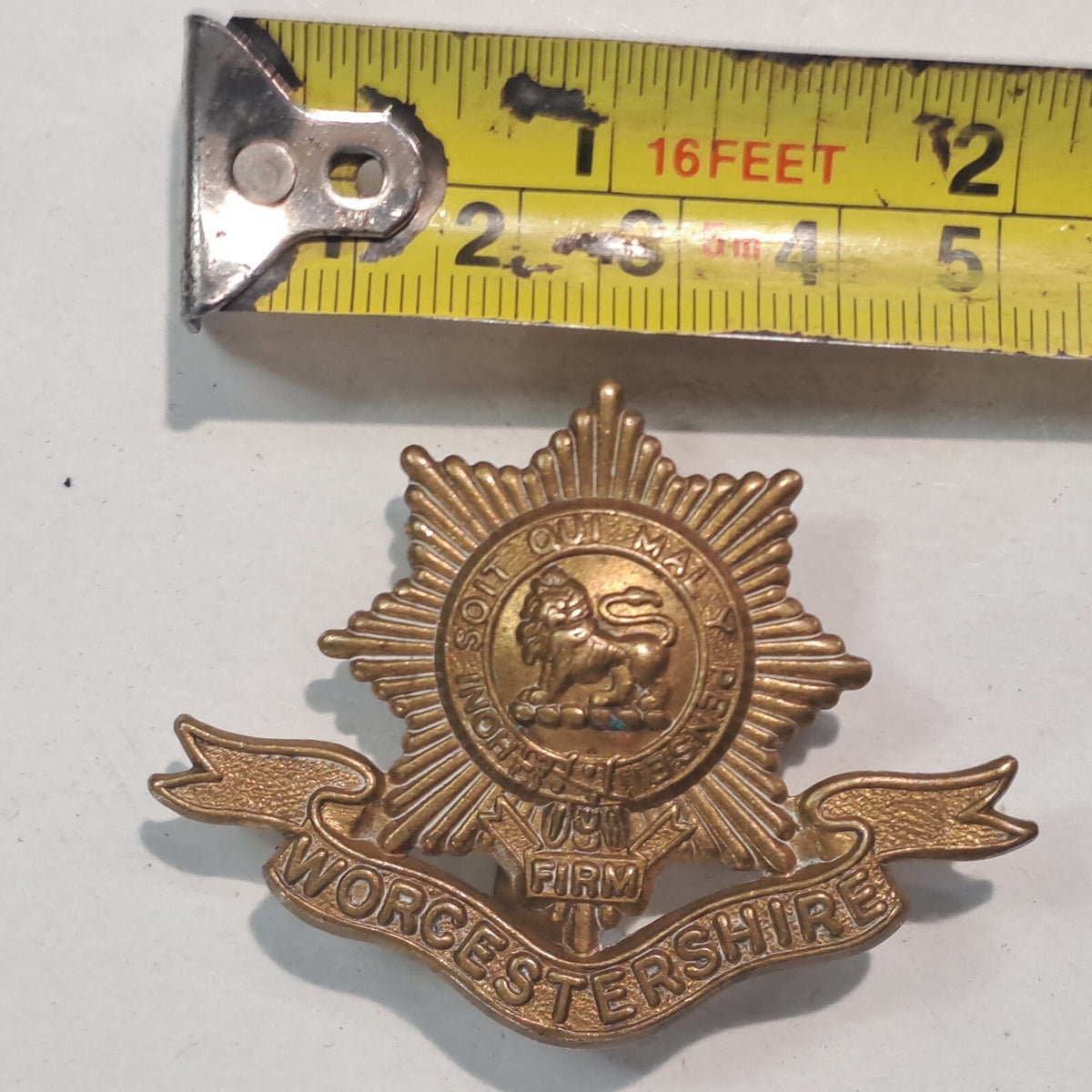 Genuine Surplus British Army Military Cap Badge Worcestershire Regiment 2624