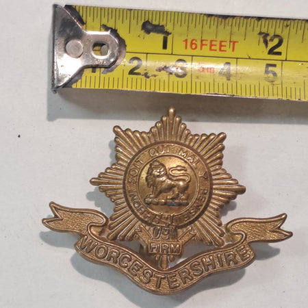 Genuine Surplus British Army Military Cap Badge Worcestershire Regiment 2624