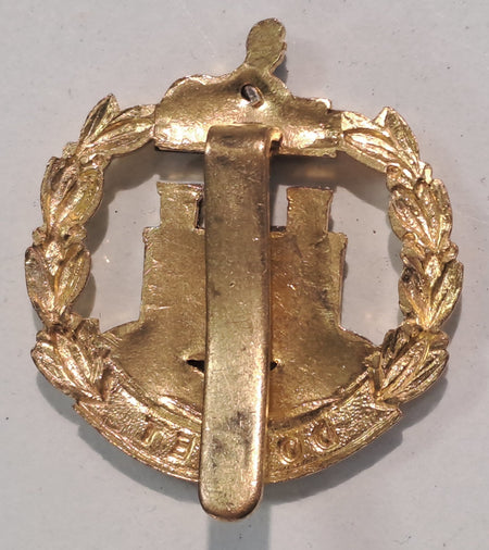 Genuine Surplus British Army Military Cap Badge Metal Dorset Regiment 2622