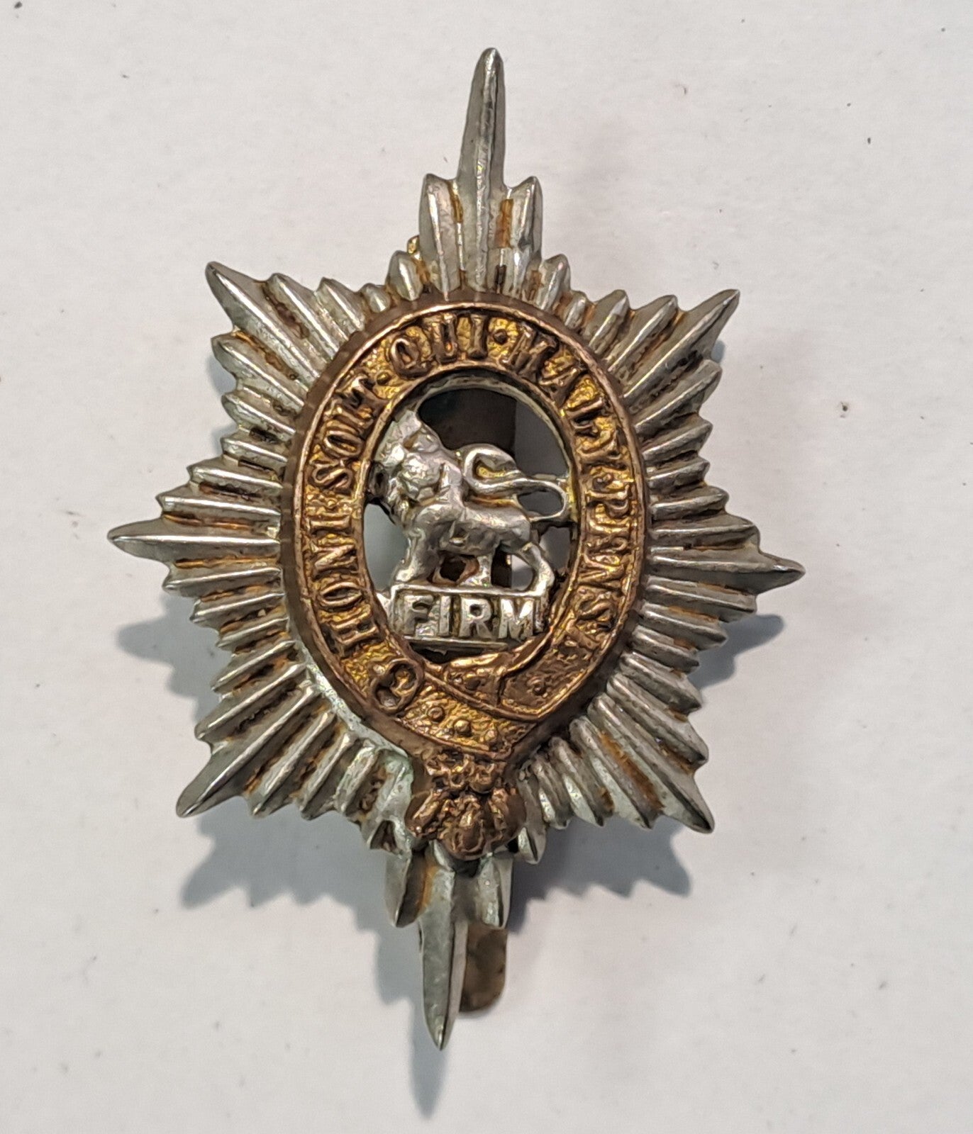Genuine Surplus British Army Military Cap BadgeWorcestershire Regiment 2631
