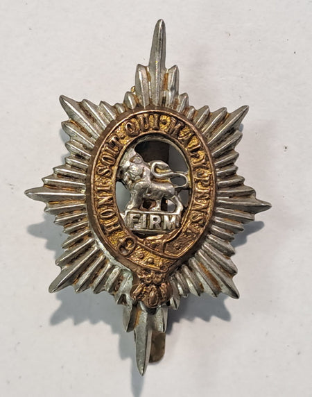 Genuine Surplus British Army Military Cap BadgeWorcestershire Regiment 2631