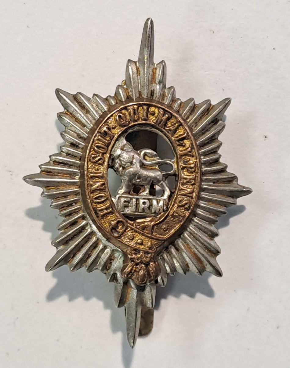 Genuine Surplus British Army Military Cap BadgeWorcestershire Regiment 2631