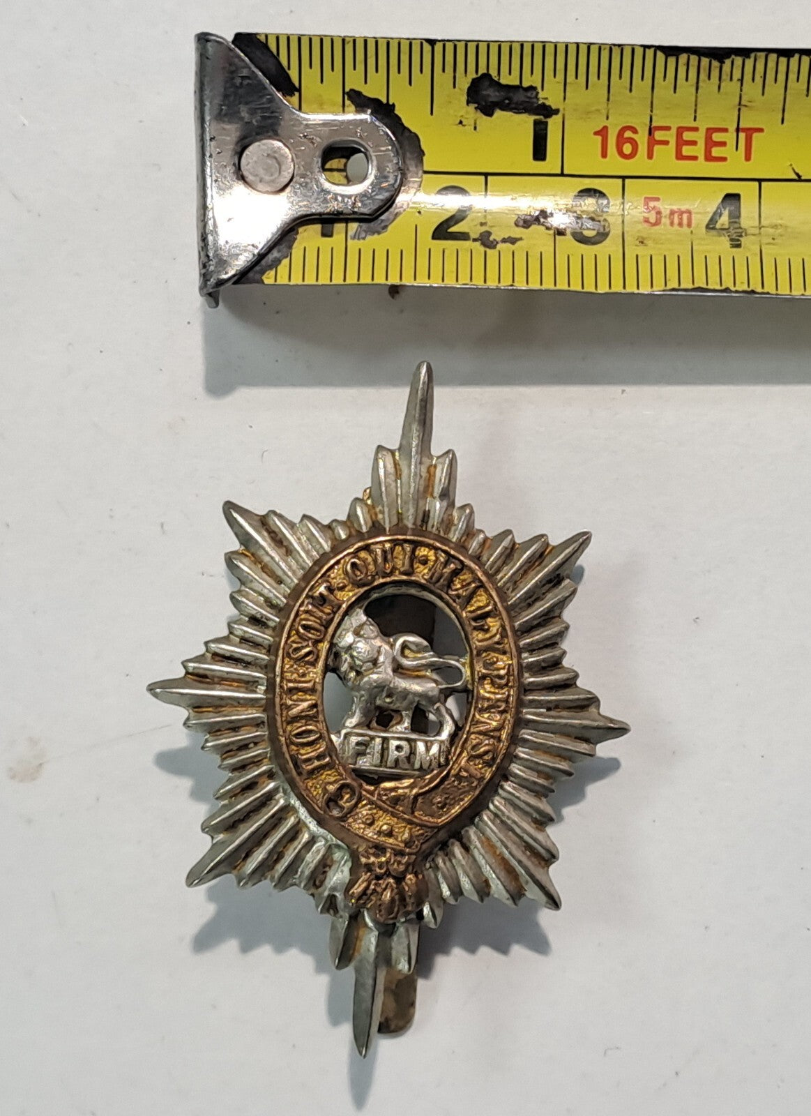 Genuine Surplus British Army Military Cap BadgeWorcestershire Regiment 2631
